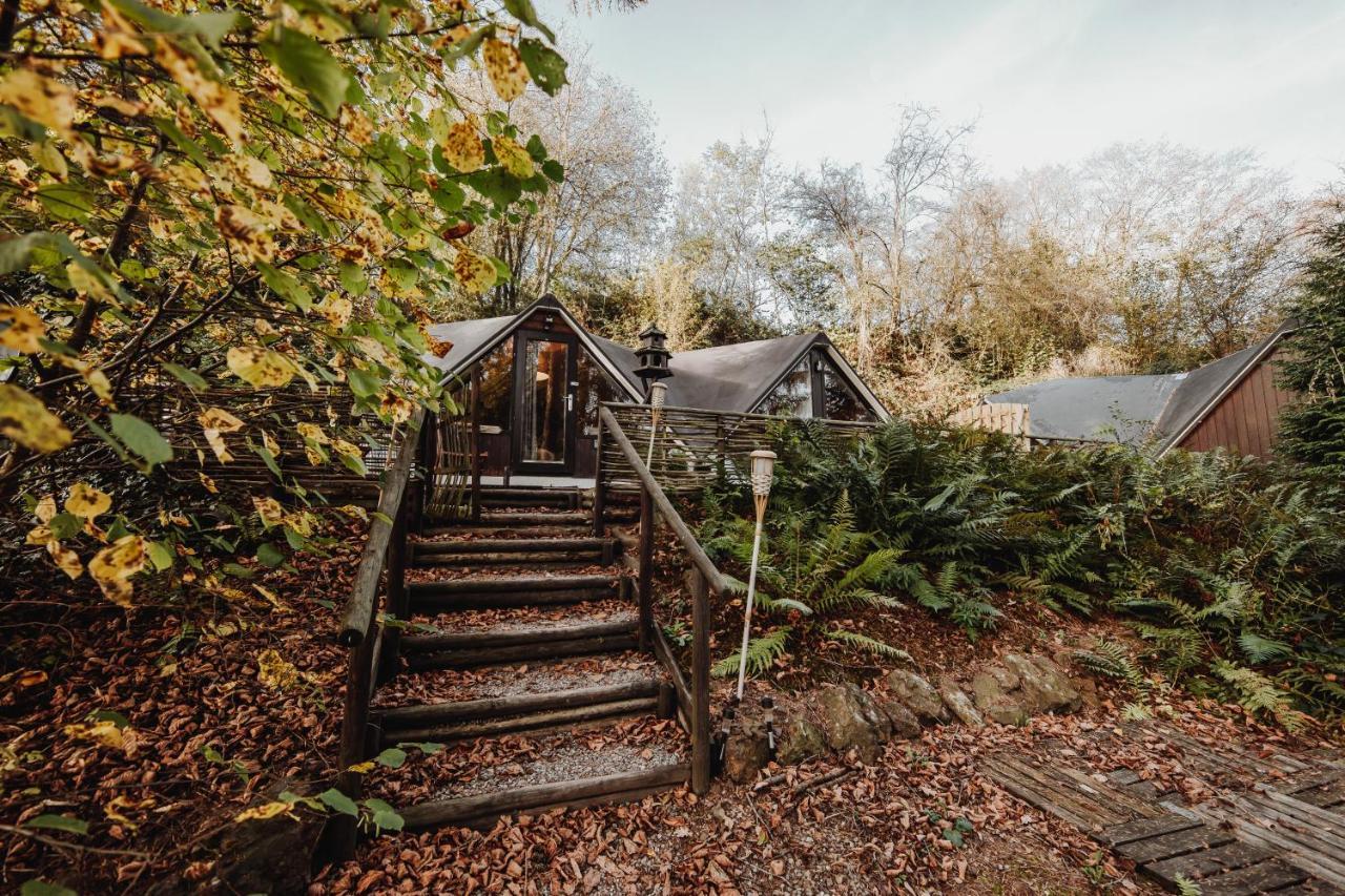 Chalet Scandinave Avec Sauna Ir - In The Woods Gesves Luaran gambar