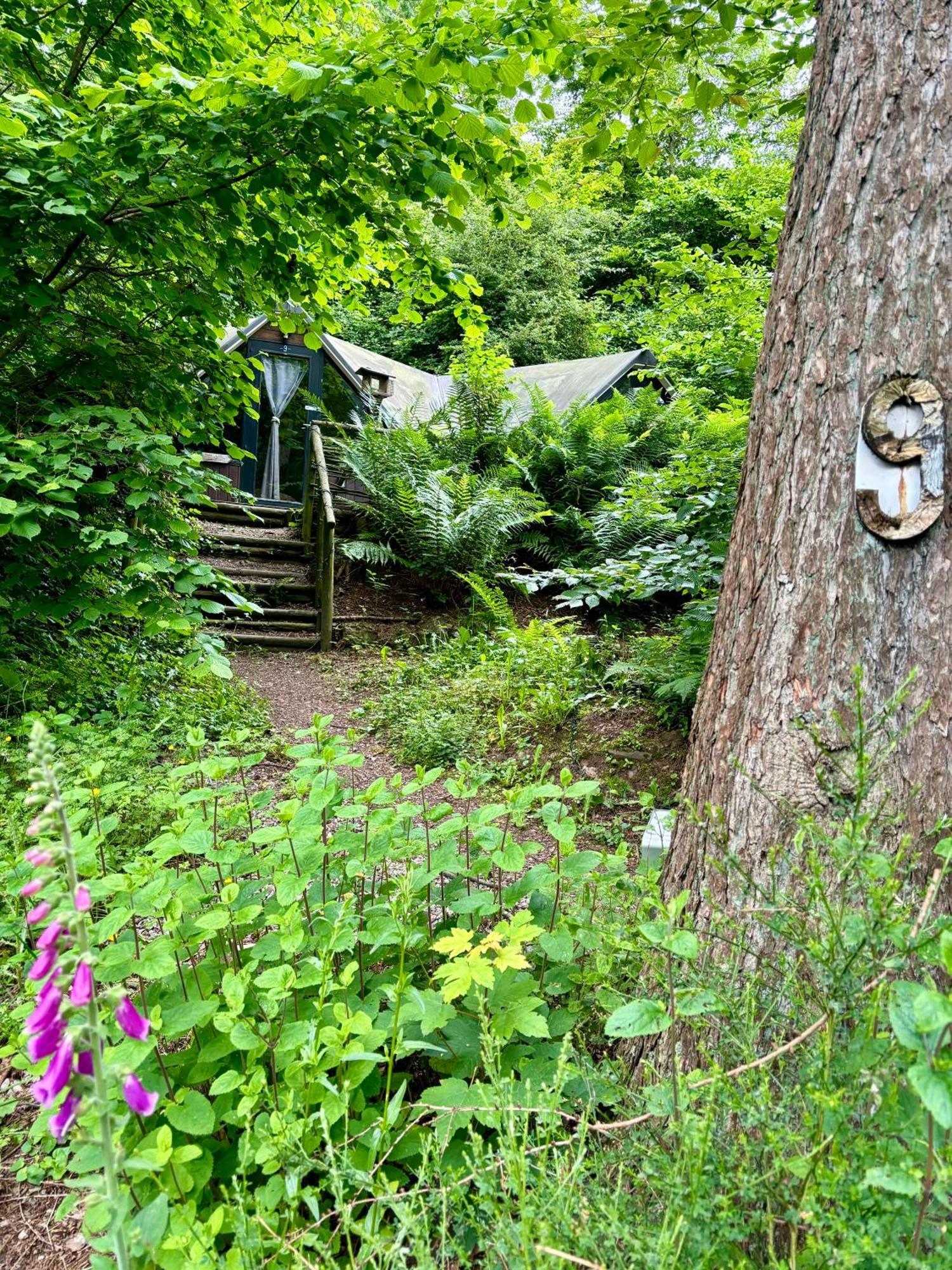 Chalet Scandinave Avec Sauna Ir - In The Woods Gesves Luaran gambar